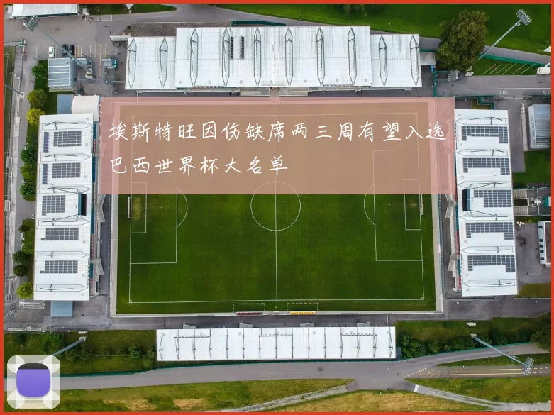 埃斯特旺因伤缺席两三周有望入选巴西世界杯大名单